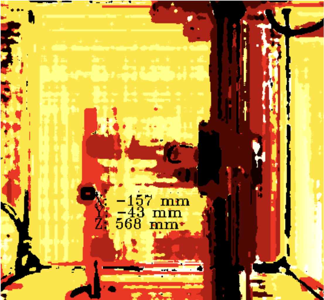 Depth camera view with flower coordinates