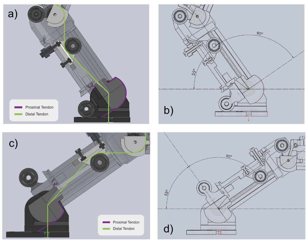 Tendon routing diagrams a–d