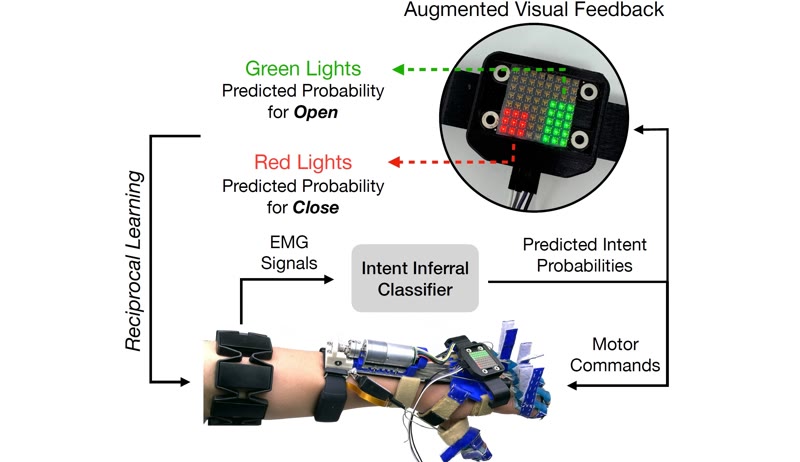 Reciprocal learning loop: EMG data feeds an intent classifier whose predictions are shown to the user on LED progress bars